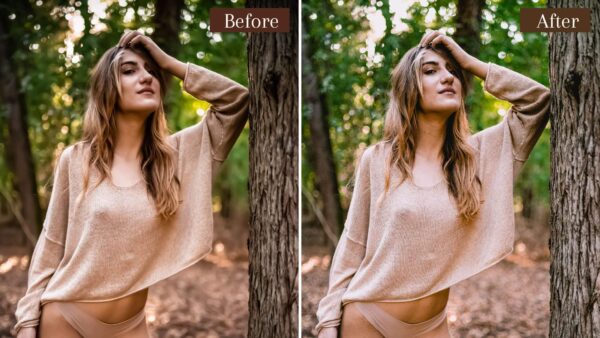 Landscape Lightroom Presets Desktop And Mobile Woods Forests Presets IG 11