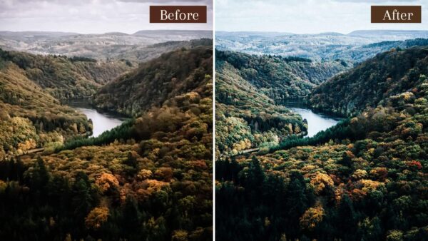 Landscape Lightroom Presets Desktop And Mobile Woods Forests Presets IG 5