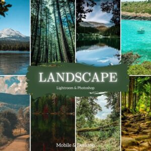 Landscape Presets Lightroom Desktop & Mobile Forest Preset Lifestyle - DL Presets