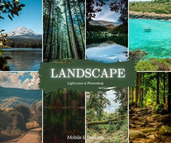 Landscape Presets Lightroom Desktop & Mobile Forest Preset Lifestyle - DL Presets