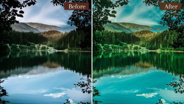 Landscape Presets Lightroom Desktop Mobile Forest Preset Lifestyle 10