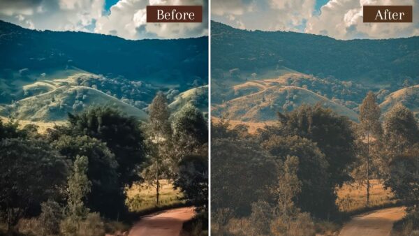 Landscape Presets Lightroom Desktop Mobile Forest Preset Lifestyle 2