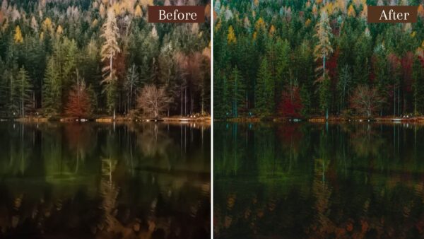 Landscape Presets Lightroom Desktop Mobile Forest Preset Lifestyle 3