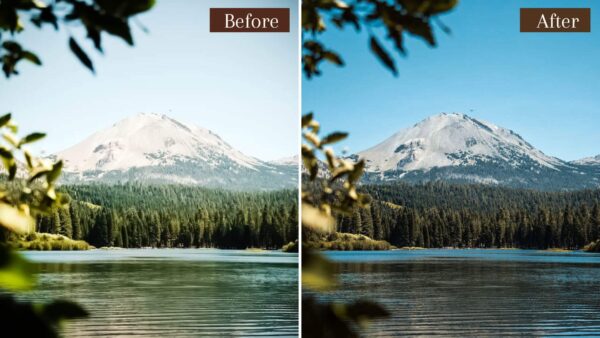 Landscape Presets Lightroom Desktop Mobile Forest Preset Lifestyle 5