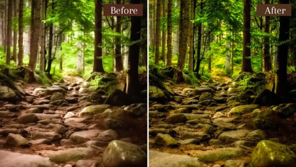 Landscape Presets Lightroom Desktop Mobile Forest Preset Lifestyle 6