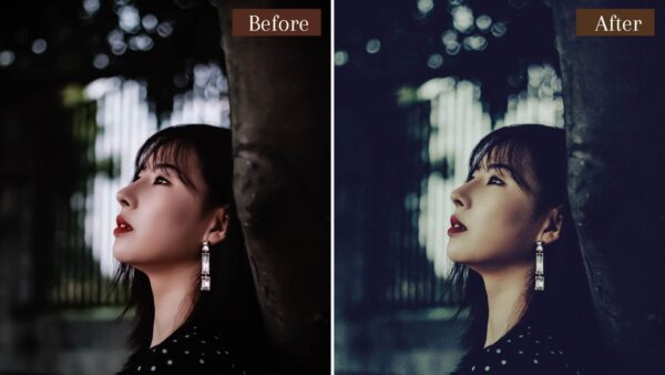 Moody Blogger Presets Lightroom Mobile Desktop Cinematic Filters DLPRESETS 7