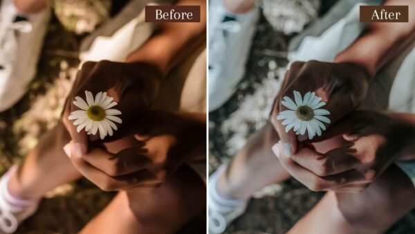 Natural Airy Presets Lightroom Mobile Desktop Bright Filters Presets DL 3