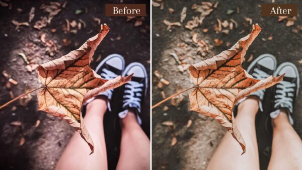 Natural Presets Bohemian Lightroom Mobile Desktop Creamy Filters DL Presets 7