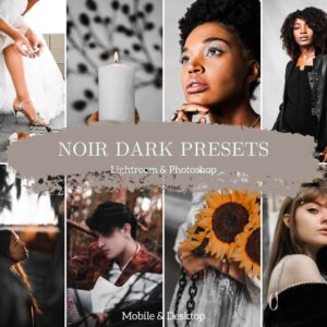 Noir Dark Presets Lightroom Mobile & Desktop Influencer Blogger Preset - Presets DL