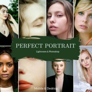 Perfect Portrait Presets Lightroom Mobile & Desktop Face Bright -DL Presets