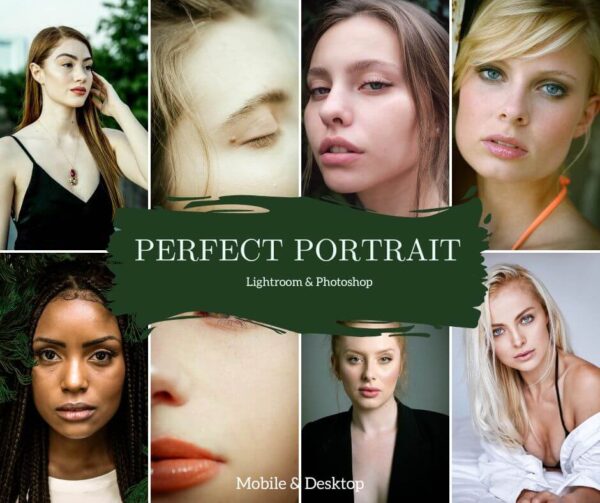 Perfect Portrait Presets Lightroom Mobile & Desktop Face Bright -DL Presets