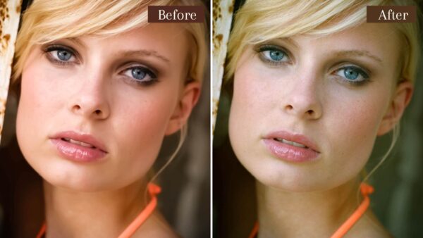 Perfect Portrait Presets Lightroom Mobile Desktop Face Bright 3