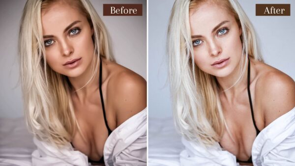 Perfect Portrait Presets Lightroom Mobile Desktop Face Bright 7