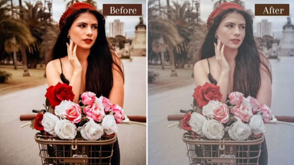 Vintage Fade Presets Lightroom Mobile Desktop Retro Film 8