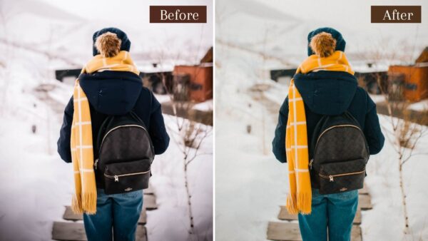 Winter Presets Lightroom Mobile DesktopClean Filter Lifestyle DL Presets 11