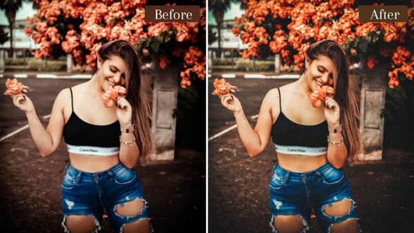 6 Presets Lightroom Aventura mobile e desktop dl presets 9