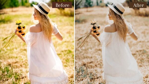 6 Presets Lightroom De Tons De Bege Mobile E Desktop 2