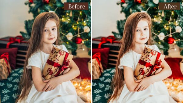 6 Presets Lightroom Natal DL Presets 4