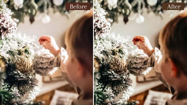 6 Presets Lightroom Natal DL Presets 5