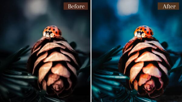 6 Presets Lightroom Noite Mobile E Desktop dl Presets 2