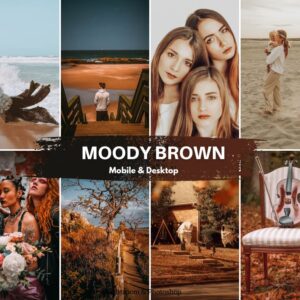 Moody Brown Preset Collection