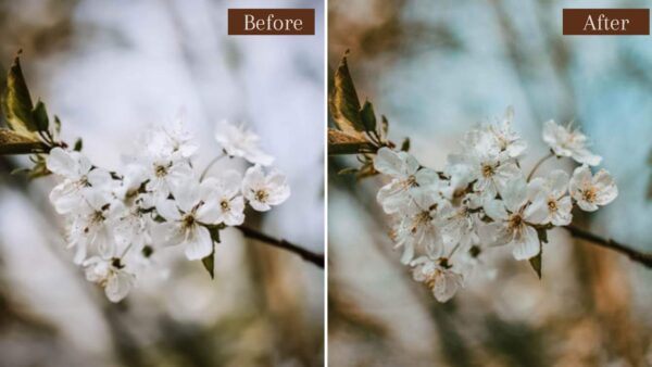 Terrain Lightroom Presets Mobile Desktop 7